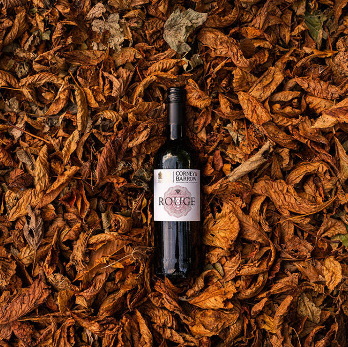 Corney & Barrow Rouge Vin de France 2023 Lifestyle with Leaves