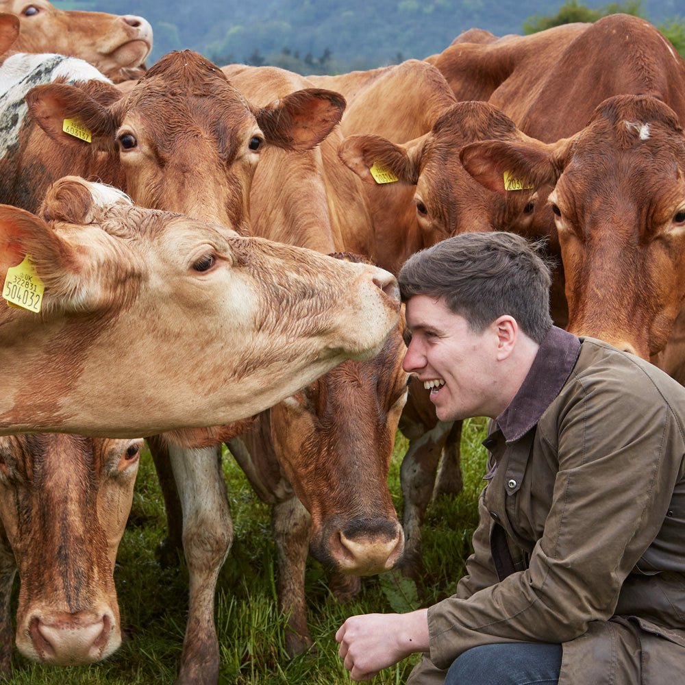 Meet the Makers: Ampersand Dairy - DukesHill