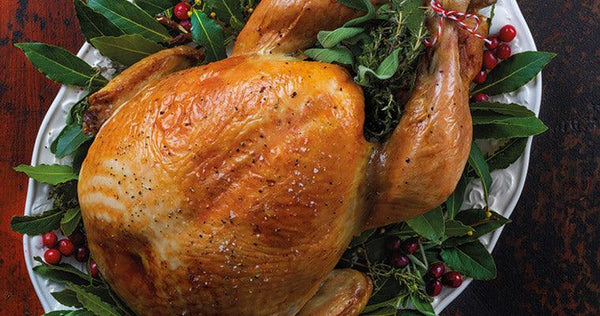 A Turkey Update - DukesHill