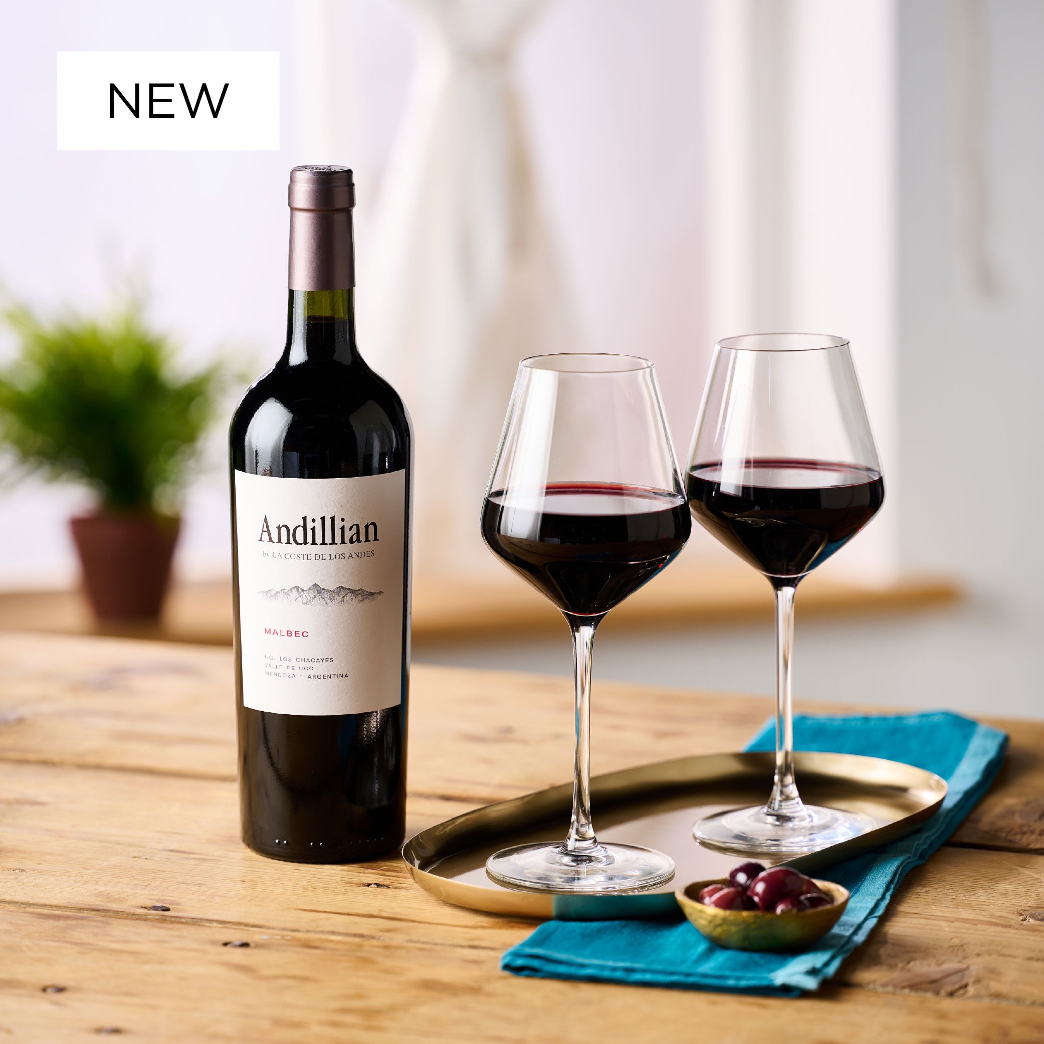 Andillian Malbec by La Coste de Los Andes 2024