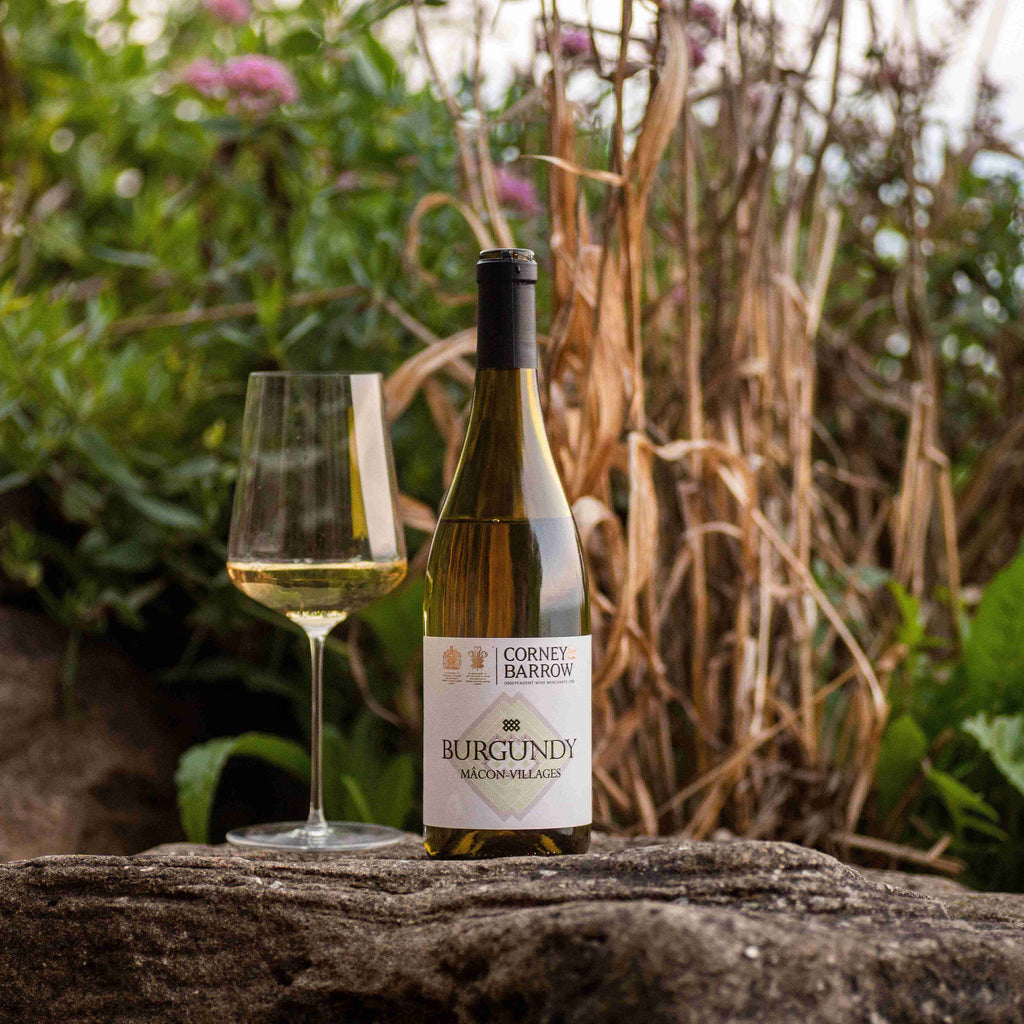Corney & Barrow White Burgundy Maison Auvigue 2022