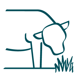 Highest Animal Welfare