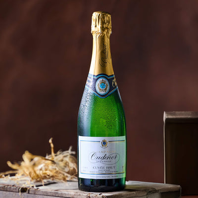 Champagne Oudinot Brut NV - DukesHill